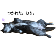 omochi_20251109152102