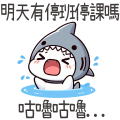 鯊魚貓貓★咕嚕咕嚕