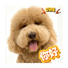 波奶丸三姊弟