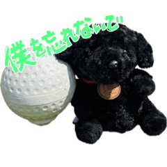 fujimon_20251109163743