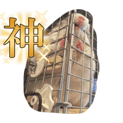 hanachi_20251109171309