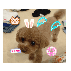 YUKA_20251109152330