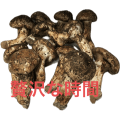 yasuhiko_ono_20251104164348