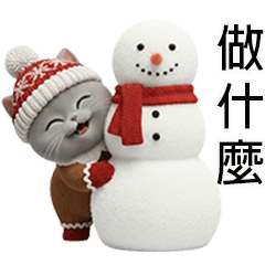 LIFE STYLE KORAT CAT IN CHRISTMAS DAY