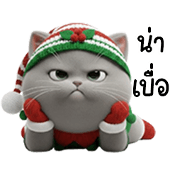 LITTLE ELF KORAT CAT IN CHRISTMAS DAY