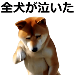 動く ふつつかな犬