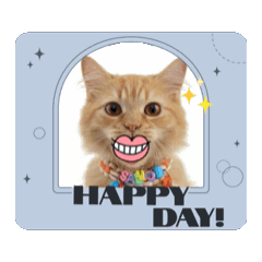 Mooksm_20251109142739