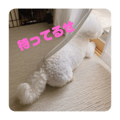 Natsumi_20251109181456