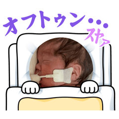 Koto_20251109191620
