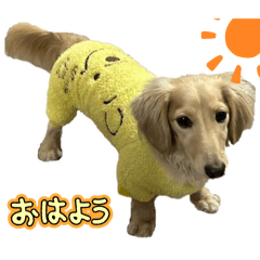 harupiko_20251109180609
