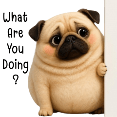 Pug cute tuatung (EN)