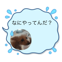 Yurika_20251109210153