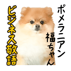 Pomeranian Fuku businessHonorific