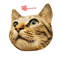 baz