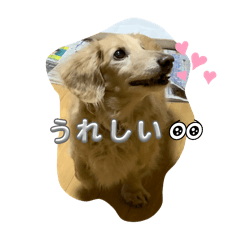 suzu_20251109184058