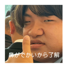 morio_20251109184023