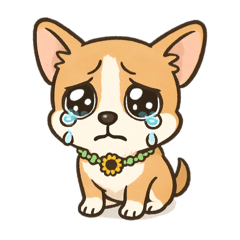 DAICHI_20251109231104