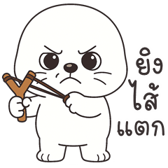 แมวน้ำ แสนซน