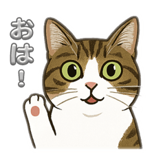 アミちゃん2025-1