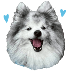bell kun stickers