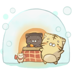 とらまめの冬２