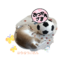 popochan2025