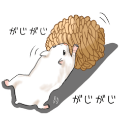 hiyori_20251107222525