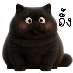 แมวดำบิ๊ก ตัวตึง