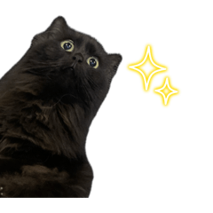 ayumi_20251107162521