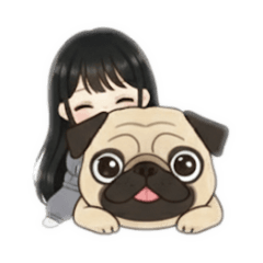 hachi_20251108002823