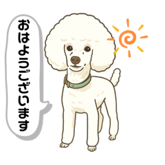 MAJESTIC POODLE_20251108013745