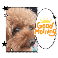 natsu_20251109225327