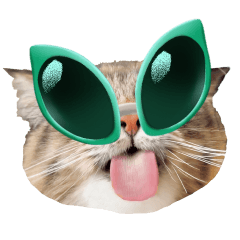 宇宙猫 サイベリアンのヤマネコ15