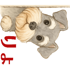 Peek-a-Boo Dogs