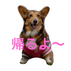 the day of Konatsu
