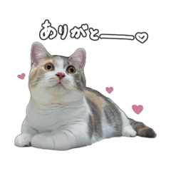 yuka_20251108145201
