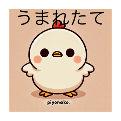 makoto_20251110081921