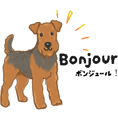 大きめワンコ！カジュアル便利なフランス語