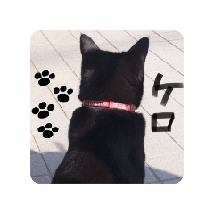 黒猫ケロのスタンプ