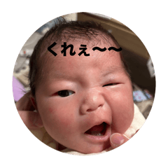 0801REI0801