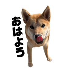 AstroH_20251108194211