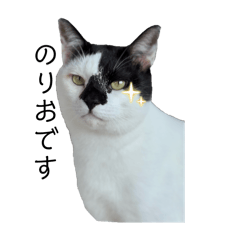 MOCHImi_20251108225505