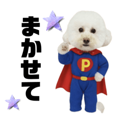 sakura_20251109215052