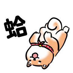 Fortune Shibes - Suspicious red