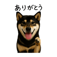 Daichi_20251109084559