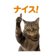 catcatcatcatcatcatcatcatcatcatcatcatc