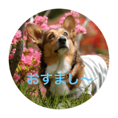 The day of Konatsu 2