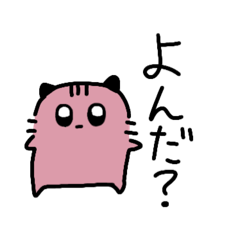 Cute Cat Daily Life 2025