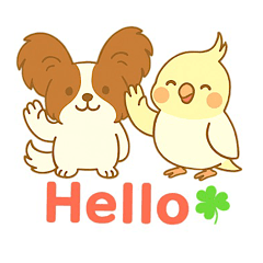 Papillon and Cockatiel's Happy Day