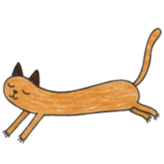 Long Cat Channel